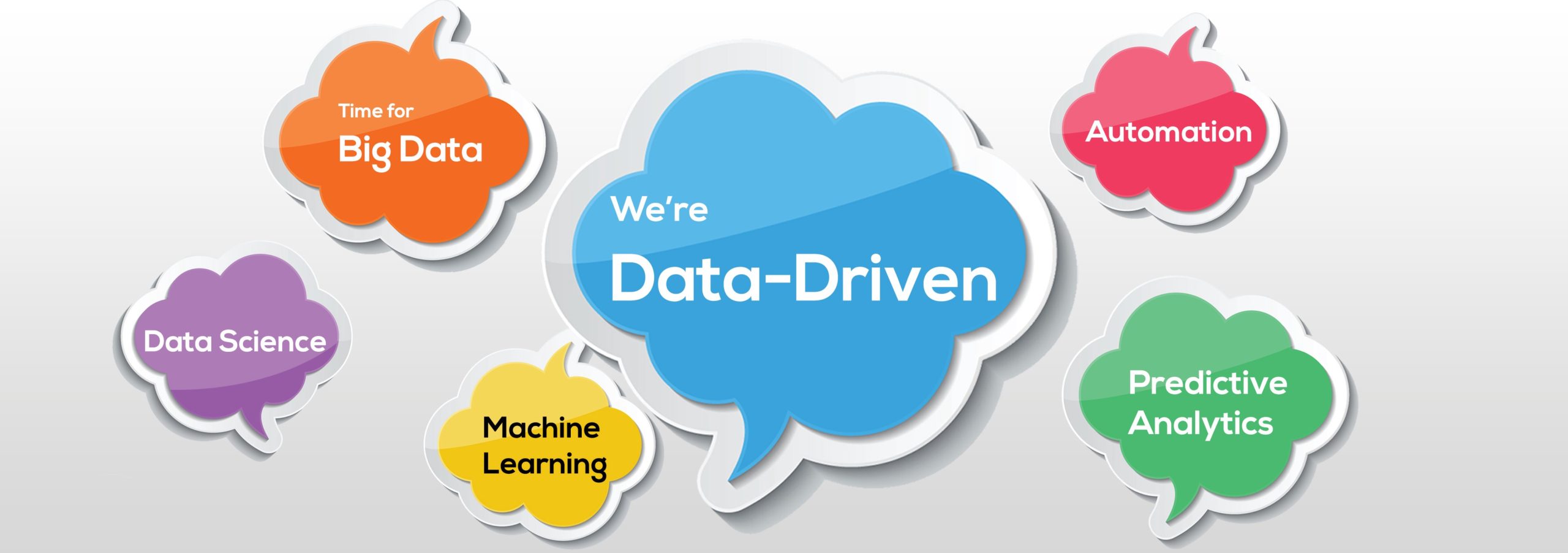 Becoming a Data Driven Organization